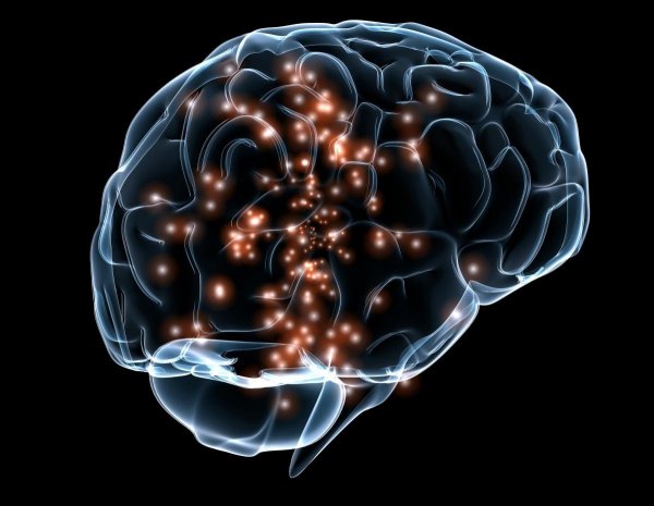 Brain's Memory Storage May Be Tenfold Greater Than Prior Estimates