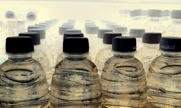 Toxic Water Cleanup: How Microbes and Algae Could Offer a Fix