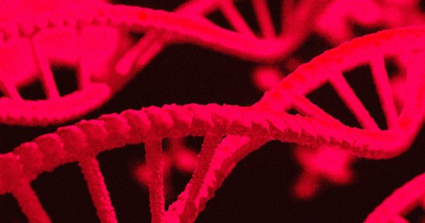 Chromosome Folding Reversal: Human DNA Reshaped to Mimic Mosquitoes